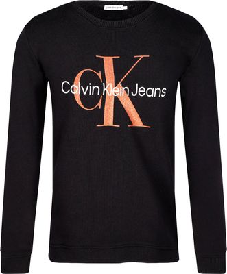 Bluza dziewczęca na jesień Calvin Klein Jeans ze sklepu: Gomez Fashion Store w kategorii: Bluzy dziewczęce