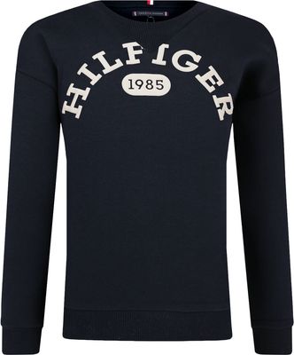 Bluza chłopięca na zimę Tommy Hilfiger ze sklepu: Gomez Fashion Store w kategorii: Bluzy chłopięce