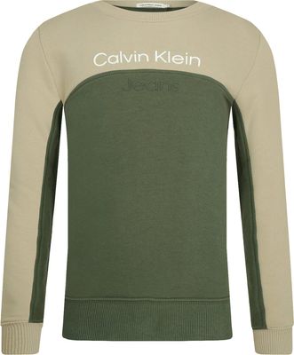 Bluza chłopięca na zimę Calvin Klein Jeans ze sklepu: Gomez Fashion Store w kategorii: Bluzy chłopięce