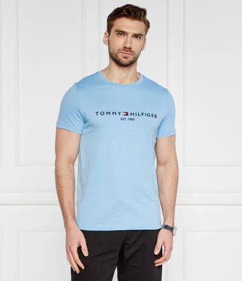 Tommy Hilfiger - T-shirt męski ze sklepu: Gomez Fashion Store w kategorii: T-shirty męskie - zdjęcie 874714-BD9-10338_TH242M000134887
