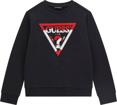 Bluza chłopięca Guess ze sklepu: Gomez Fashion Store w kategorii: Bluzy chłopięce