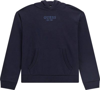Bluza chłopięca na zimę Guess ze sklepu: Gomez Fashion Store w kategorii: Bluzy chłopięce