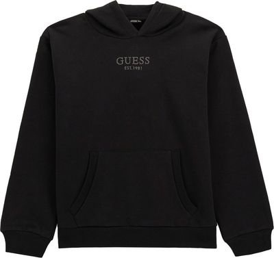 Bluza chłopięca na zimę na jesień Guess ze sklepu: Gomez Fashion Store w kategorii: Bluzy chłopięce