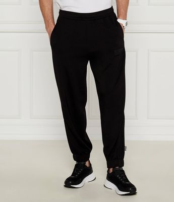 EA7 - Spodnie męskie sportowe ze sklepu: Gomez Fashion Store w kategorii: Spodnie męskie - zdjęcie 874714-BD9-10338_E7245M000066012