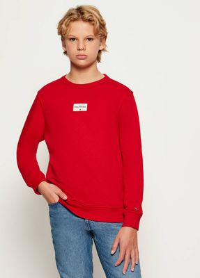 Bluza chłopięca zimowa Tommy Hilfiger ze sklepu: Gomez Fashion Store w kategorii: Bluzy chłopięce