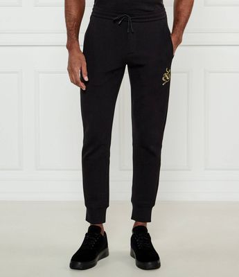 Spodnie męskie sportowe Emporio Armani ze sklepu: Gomez Fashion Store w kategorii: Spodnie męskie - zdjęcie 874714-BD9-10338_EA252M000093M13