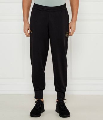 Spodnie męskie sportowe EA7 ze sklepu: Gomez Fashion Store w kategorii: Spodnie męskie - zdjęcie 874714-BD9-10338_E7252M000103C51