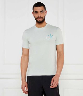 Calvin Klein - T-shirt męski casual ze sklepu: Gomez Fashion Store w kategorii: T-shirty męskie - zdjęcie 874714-BD9-10338_CK252M000124D29