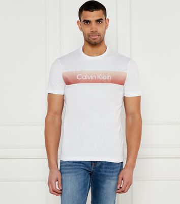 Calvin Klein - T-shirt męski ze sklepu: Gomez Fashion Store w kategorii: T-shirty męskie - zdjęcie 874714-BD9-10338_CK252M000131257