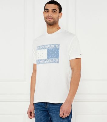 T-shirt męski na wiosnę Tommy Jeans ze sklepu: Gomez Fashion Store w kategorii: T-shirty męskie - zdjęcie 874714-BD9-10338_TM252M000112A07