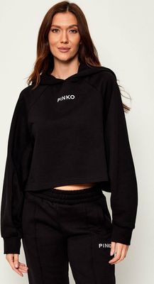 Bluza damska jesienna Pinko ze sklepu: Gomez Fashion Store w kategorii: Bluzy damskie - zdjęcie 874714-BD9-10338_PI254W000039099