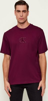 Calvin Klein Jeans - T-shirt męski ze sklepu: Gomez Fashion Store w kategorii: T-shirty męskie - zdjęcie 874714-BD9-10338_CJ255M000064Y85