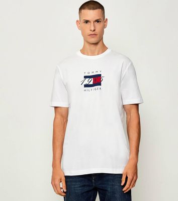 Tommy Hilfiger - T-shirt męski na wiosnę ze sklepu: Gomez Fashion Store w kategorii: T-shirty męskie - zdjęcie 874714-BD9-10338_TH255M000294D96