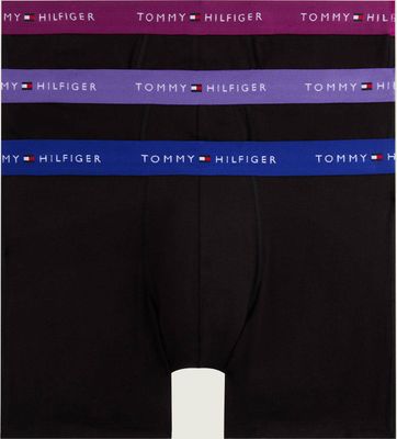 Majtki męskie Tommy Hilfiger ze sklepu: Gomez Fashion Store w kategorii: Majtki męskie - zdjęcie 874714-BD9-10338_TU255M000033P90