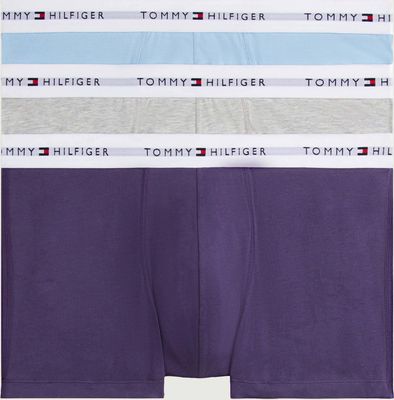 Majtki męskie Tommy Hilfiger ze sklepu: Gomez Fashion Store w kategorii: Majtki męskie - zdjęcie 874714-BD9-10338_TU255M000029N17