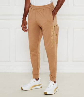 Spodnie męskie na jesień EA7 ze sklepu: Gomez Fashion Store w kategorii: Spodnie męskie - zdjęcie 874714-BD9-10338_E7255M000127E79