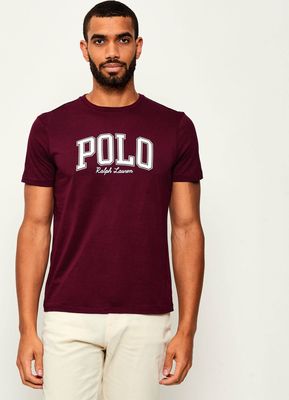 T-shirt męski Polo Ralph Lauren ze sklepu: Gomez Fashion Store w kategorii: T-shirty męskie - zdjęcie 874714-BD9-10338_PR255M000117T63