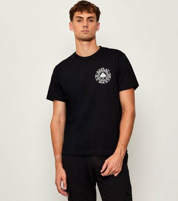 Replay - T-shirt męski w stylu młodzieżowym na wiosnę ze sklepu: Gomez Fashion Store w kategorii: T-shirty męskie - zdjęcie 874714-BD9-10338_RY255M000053098
