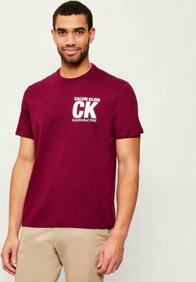Calvin Klein - T-shirt męski na wiosnę ze sklepu: Gomez Fashion Store w kategorii: T-shirty męskie - zdjęcie 874714-BD9-10338_CK261M000048F30