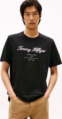 T-shirt męski Tommy Hilfiger ze sklepu: Gomez Fashion Store w kategorii: T-shirty męskie - zdjęcie 874714-BD9-10338_TH261M000009D12