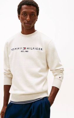 Bluza męska młodzieżowa Tommy Hilfiger ze sklepu: Gomez Fashion Store w kategorii: Bluzy męskie - zdjęcie 874714-BD9-10338_TH261M000016813