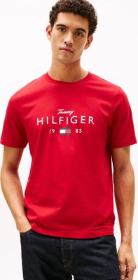 T-shirt męski młodzieżowy Tommy Hilfiger ze sklepu: Gomez Fashion Store w kategorii: T-shirty męskie - zdjęcie 874714-BD9-10338_TH261M000028P23