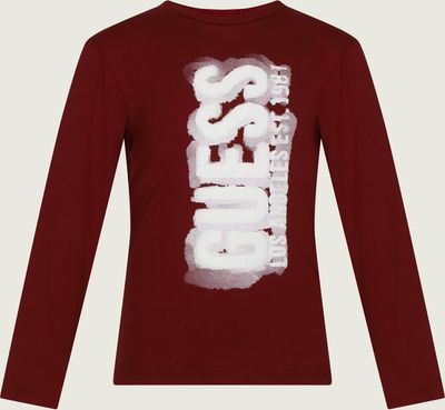 T-shirt chłopięce na wiosnę Guess ze sklepu: Gomez Fashion Store w kategorii: T-shirty chłopięce