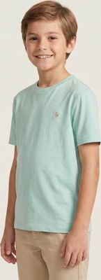 Polo Ralph Lauren - T-shirt chłopięce letni ze sklepu: Gomez Fashion Store w kategorii: T-shirty chłopięce
