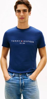 Tommy Hilfiger - T-shirt męski ze sklepu: Gomez Fashion Store w kategorii: T-shirty męskie - zdjęcie 874714-BD9-10338_TH262M000117F32