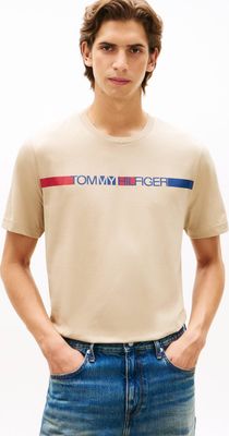 T-shirt męski Tommy Hilfiger ze sklepu: Gomez Fashion Store w kategorii: T-shirty męskie - zdjęcie 874714-BD9-10338_TH262M000120762