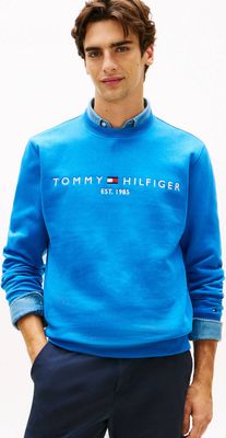 Bluza męska na wiosnę Tommy Hilfiger ze sklepu: Gomez Fashion Store w kategorii: Bluzy męskie - zdjęcie 874714-BD9-10338_TH262M000107ZB8