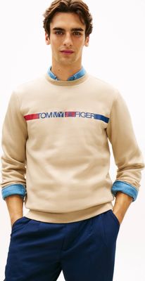 Bluza męska na jesień Tommy Hilfiger ze sklepu: Gomez Fashion Store w kategorii: Bluzy męskie - zdjęcie 874714-BD9-10338_TH262M000111762