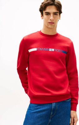 Bluza męska jesienna Tommy Hilfiger ze sklepu: Gomez Fashion Store w kategorii: Bluzy męskie - zdjęcie 874714-BD9-10338_TH262M000111P23