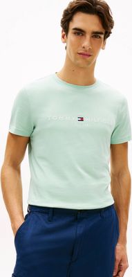 T-shirt męski Tommy Hilfiger ze sklepu: Gomez Fashion Store w kategorii: T-shirty męskie - zdjęcie 874714-BD9-10338_TH262M000117ZC1