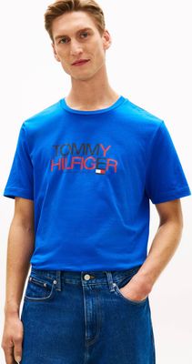 T-shirt męski Tommy Hilfiger ze sklepu: Gomez Fashion Store w kategorii: T-shirty męskie - zdjęcie 874714-BD9-10338_TH262M000121L57