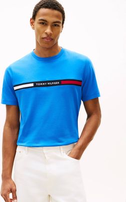 Tommy Hilfiger - T-shirt męski na wiosnę ze sklepu: Gomez Fashion Store w kategorii: T-shirty męskie - zdjęcie 874714-BD9-10338_TH262M000245ZB8