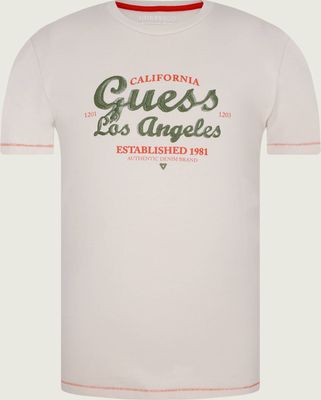 T-shirt chłopięce na lato Guess ze sklepu: Gomez Fashion Store w kategorii: T-shirty chłopięce