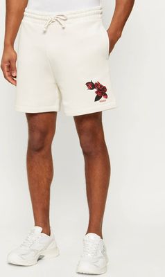 HUGO - Spodenki męskie na wiosnę ze sklepu: Gomez Fashion Store w kategorii: Spodenki męskie - zdjęcie 874714-BD9-10338_BU262M000115102