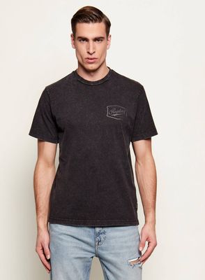 T-shirt męski na lato Replay ze sklepu: Gomez Fashion Store w kategorii: T-shirty męskie - zdjęcie 874714-BD9-10338_RY262M000019099
