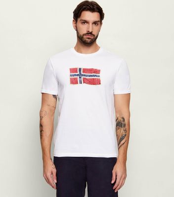 T-shirt męski Napapijri ze sklepu: Gomez Fashion Store w kategorii: T-shirty męskie - zdjęcie 874714-BD9-10338_NA262M000024837