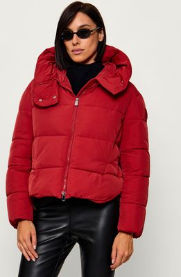 Kurtka damska Pinko ze sklepu: Gomez Fashion Store w kategorii: Kurtki damskie - zdjęcie 874714-BD9-10338_PI264W000014159