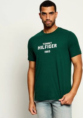 T-shirt męski Tommy Hilfiger ze sklepu: Gomez Fashion Store w kategorii: T-shirty męskie - zdjęcie 874714-BD9-10338_TH265M000105L62