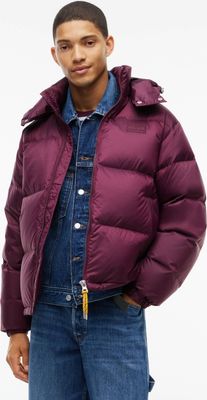 Kurtka męska na zimę Tommy Jeans ze sklepu: Gomez Fashion Store w kategorii: Kurtki męskie - zdjęcie 874714-BD9-10338_TM265M00007450V