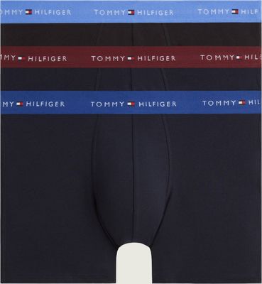 Majtki męskie Tommy Hilfiger ze sklepu: Gomez Fashion Store w kategorii: Majtki męskie - zdjęcie 874714-BD9-10338_TU265M000041J79