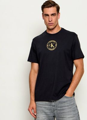 T-shirt męski Calvin Klein Jeans ze sklepu: Gomez Fashion Store w kategorii: T-shirty męskie - zdjęcie 874714-BD9-10338_CJ265M000016C64