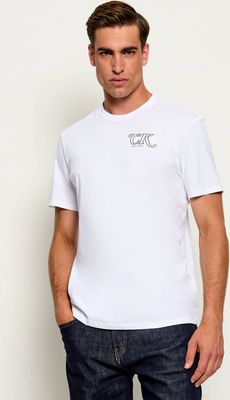 Calvin Klein Jeans - T-shirt męski casualowy ze sklepu: Gomez Fashion Store w kategorii: T-shirty męskie - zdjęcie 874714-BD9-10338_CJ265M000017210