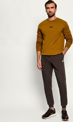 Dres męski na jesień EA7 ze sklepu: Gomez Fashion Store w kategorii: Dresy męskie - zdjęcie 874714-BD9-10338_E7265M000077H24