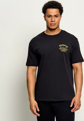 T-shirt męski na wiosnę Replay ze sklepu: Gomez Fashion Store w kategorii: T-shirty męskie - zdjęcie 874714-BD9-10338_RY265M000022A92