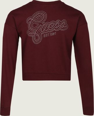 Bluza dziewczęca na zimę Guess ze sklepu: Gomez Fashion Store w kategorii: Bluzy dziewczęce