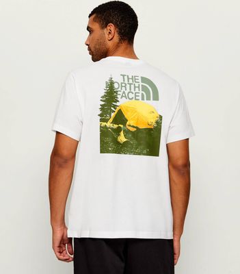 T-shirt męski The North Face ze sklepu: Gomez Fashion Store w kategorii: T-shirty męskie - zdjęcie 874714-BD9-10338_NF265M000019013